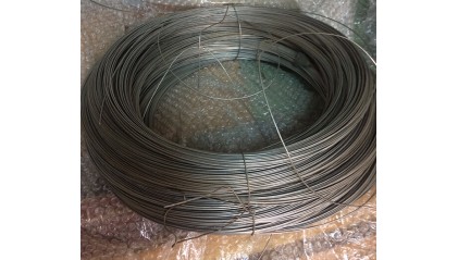 Проволока жаропрочная 3 мм AISI 310 фото проволоку жаропрочную 3 мм AISI 310 купить в Саратове